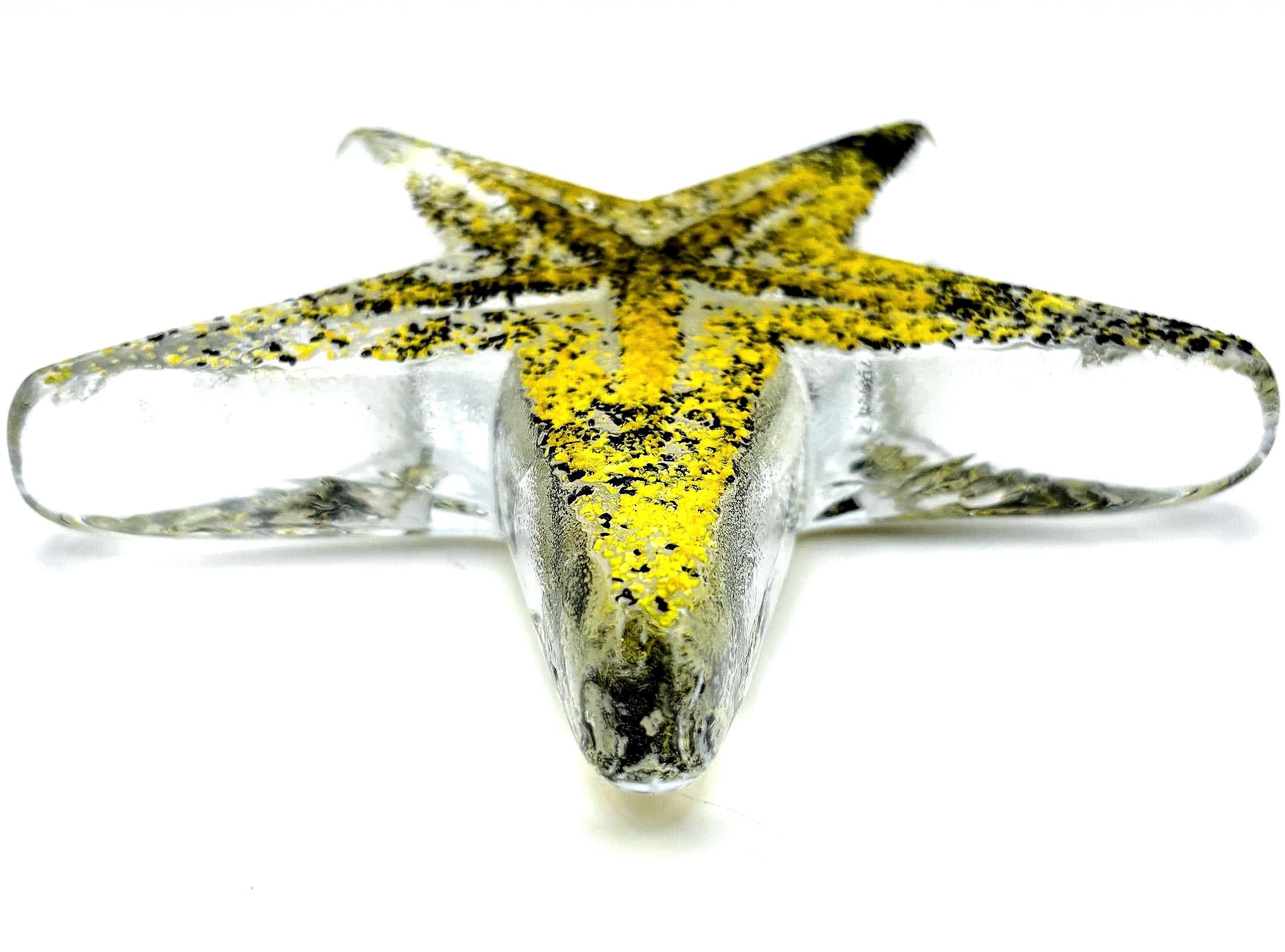 Vintage Kosta Boda, Bertil Vallien, Starfish Paperweight Sculpture | Swedish Art Glass Decor