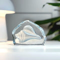 Mats Jonasson, Målerås, Crystal Shell Sculpture | Swedish Art Glass